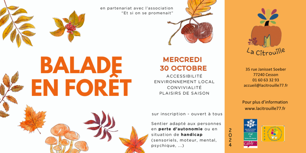 Balade en forêt vendredi octobre 2024